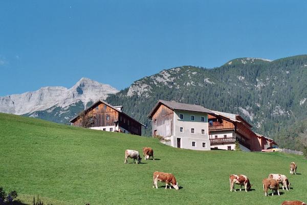 YOGA x BERGE am Mesnerhof-C